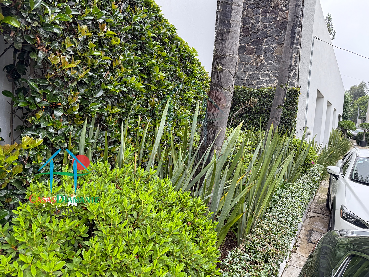 Jardines del Pedregal Casa Rivera EJ - Acceso 2